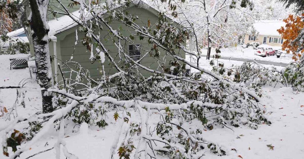A house in a snowstorm