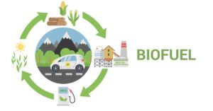 biofuel cycle