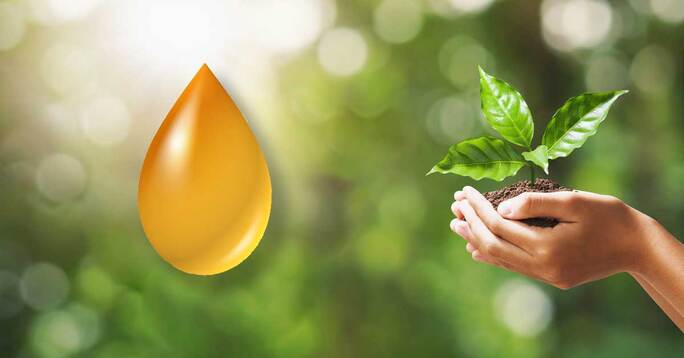 A drop of oil next to a hand holding a plant.