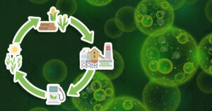 biofuel to reduce carbon footprint