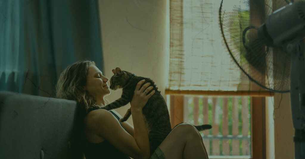 cozy warm home on Long Island