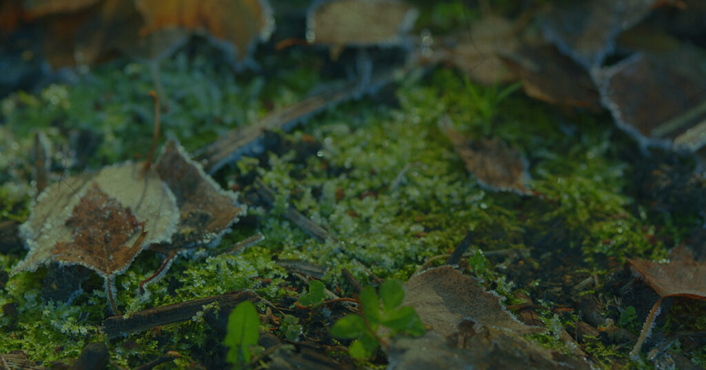 winter HVAC preparation